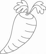 Carrot Coloring Pages Carrots Color sketch template