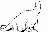 Apatosaurus Coloring Pages Animal Amazing sketch template