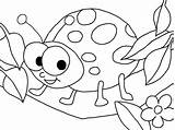 Mariquitas Ladybug Biedronka Colouring Dla Druku Anipedia Cute sketch template