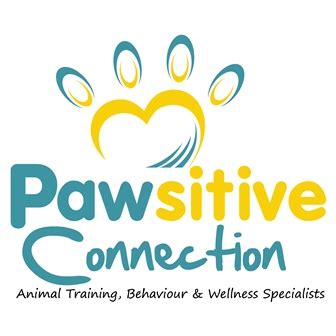pawsitive connection dog cat behavioural training brisbane