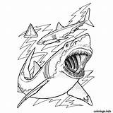 Baleine Requin sketch template