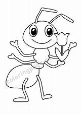 Ant Coloringpage Ants sketch template