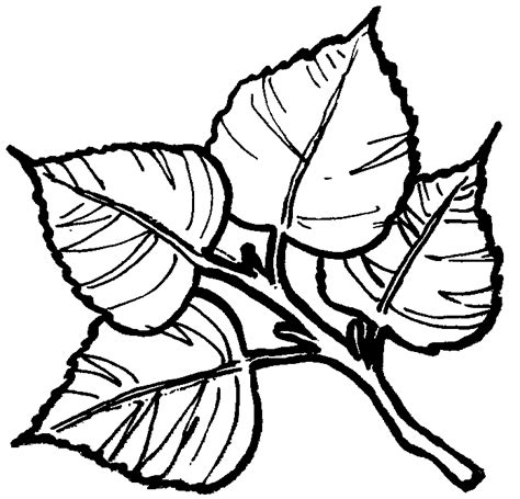 tree leaves coloring coloring pages
