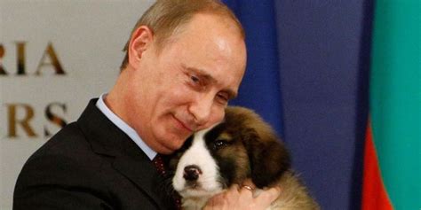 30 Perfect Photos Of Vladimir Putin To Celebrate The