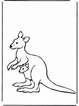 Kangaroo Coloring Pages Baby Printable Kids Cliparts Animal Clipart Zoo Bestcoloringpagesforkids Colouring Funnycoloring Please Library Advertisement sketch template