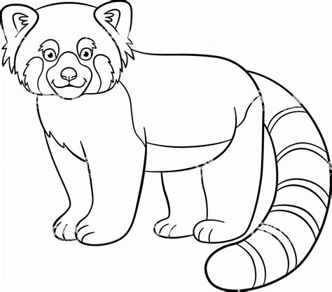 red panda coloring page inspirational coloring pages  cute red