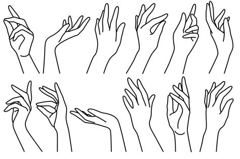 woman hands  outline drawn female  position elegant hand