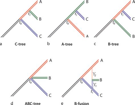schematic representation   species trees   trees  scientific diagram
