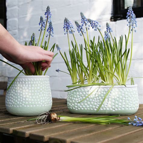 mint green  white speckled plant pot  red lilly notonthehighstreetcom