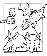 Aardvark Ark Then Creatures Called God Come Into His sketch template