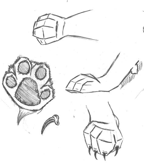 cat paw drawing tips  techniques  drawing realistic cat paws