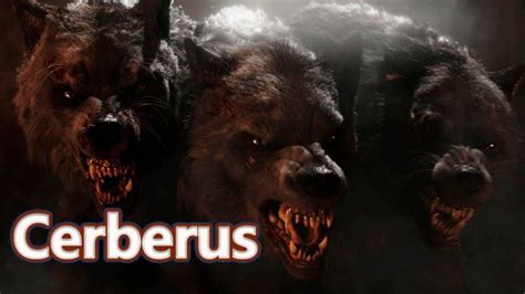 cerberus   headed dog   underworld mythological bestiary cerberus