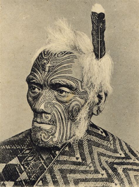 wild kingdom maori tribe