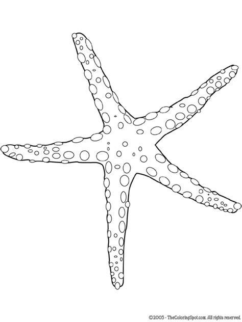 sea star coloring page audio stories  kids  coloring pages