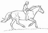 Horseback sketch template