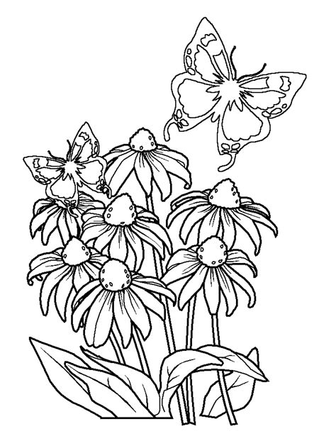 coloring pages  flowers  butterflies coloring home
