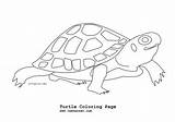 Amphibians Reptiles Printables sketch template