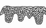 Epithelium Squamous Basal Cells Gif Keratin There Columnar Webpath Utah Med Edu sketch template