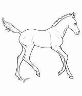 Foal Lineart Coloring Pages Horse Line Drawing Deviantart Drawings Outline Printable Realistic Colouring Head Pencil Visit Getdrawings Animal Drawn sketch template