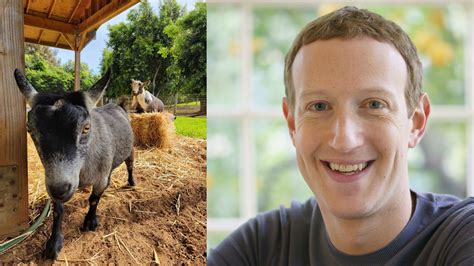 mark zuckerberg s goat bitcoin ignites conspiracy theories