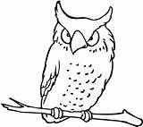 Owl Coloring Pages Flying Kids Printable Colouring Drawing Print Body Comments Sketch Getdrawings Template Coloringhome sketch template