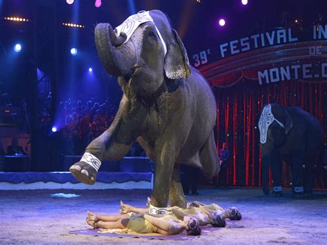 ringling bros to stop using asian elephants in the circus