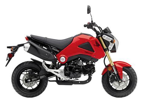 honda grom motorcycle   cc shot  awesome wvideo