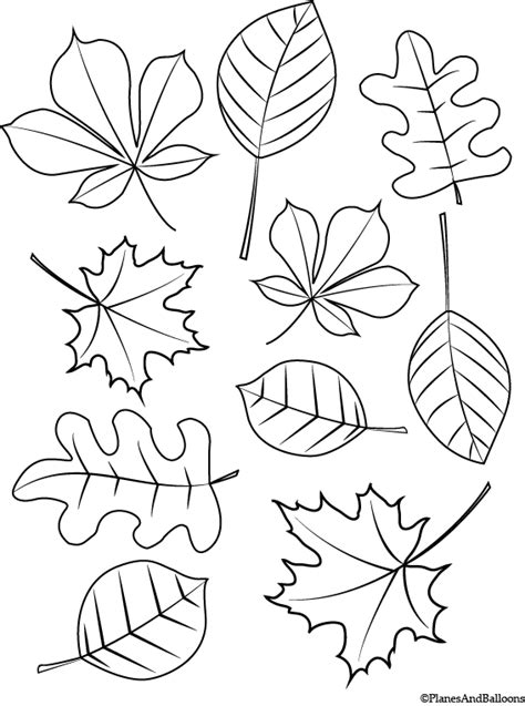 fall coloring pages  young children  instant  fall
