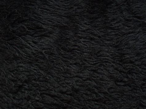 textures black fur   barefootliam stock  deviantart