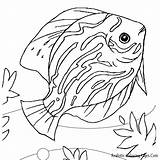 Fish Coloring Pages Realistic Beautiful Getcolorings Printable Most Print Color sketch template