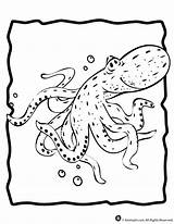 Octopus Coloring Kids Popular sketch template