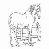 Paard Kleurplaat Paarden Wei sketch template
