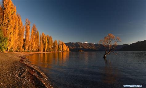 Autumn Scenery Of Lake Wanaka In New Zealand Global Times