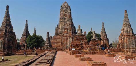 ruins  ayutthaya thailand  bug  bit