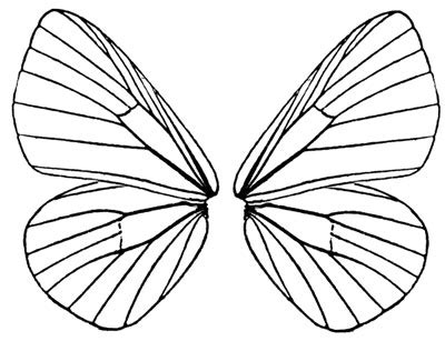butterfly wings pattern clipart