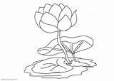 Coloring Flower Pages Lily Pond Water Printable Kids Adults sketch template