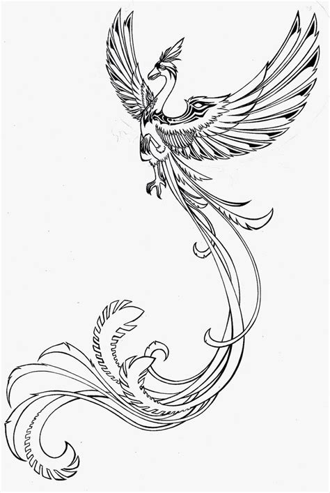 images  phoenix shoulder tattoo ideas  pinterest