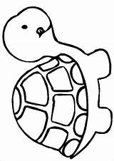 Turtle Outline Template Drawing Sea Easy Templates Tortoise Coloring Snapping Colouring Cartoon Pages Turtles Simple Draw Line Shell Printable Color sketch template