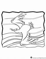 Seagull Coloring Pages Colouring Nemo Finding Animal Library Clipart Line sketch template