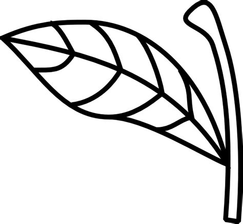 apple stem leaf clip art  clkercom vector clip art  royalty