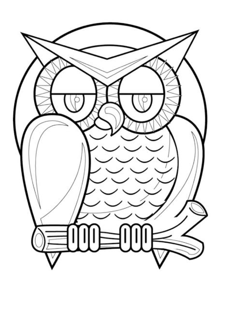 images  owl coloring pages  pinterest coloring pages