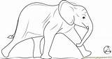 Elephant Elephants Coloringpages101 sketch template