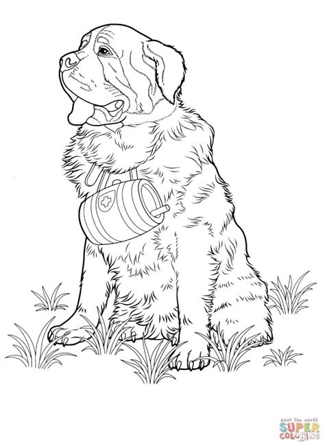 doge meme coloring page coloring pages
