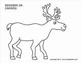 Caribou Printable Coloring Reindeer Pages Templates Firstpalette sketch template