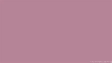 solid color lavender  english lavender solid