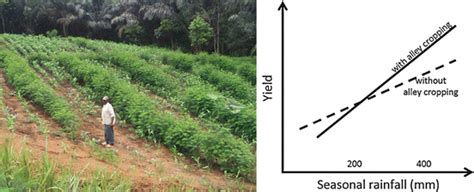 elaborate sunlight soil  water  basic resources  agriculture