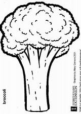 Coloring Pages Broccoli Brocoli Kids Cabbage sketch template
