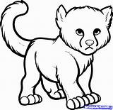 Cheetah Coloring Outline Baby Pages Clipart Easy Drawing Drawings Draw Cub Animals Cute Print Colouring Color Head Kids Face Clipartmag sketch template