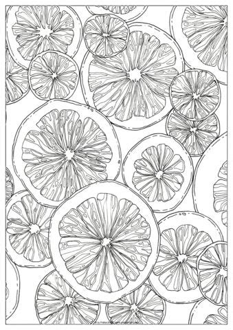 citrus  art drawings coloring book art flower drawing