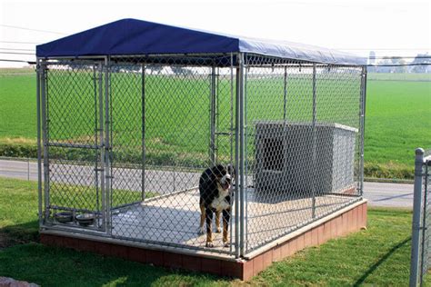 chain link dog kennels  issues   avoid
